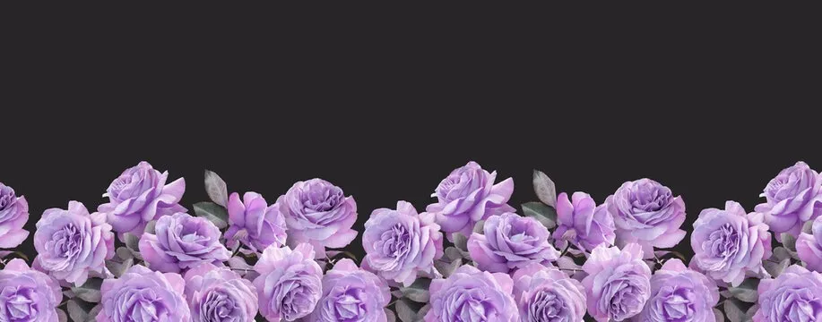 OnlyFans cuenta stiorra1111 header 2