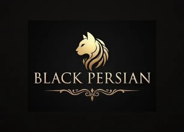 OnlyFans cuenta blackpersian header 2