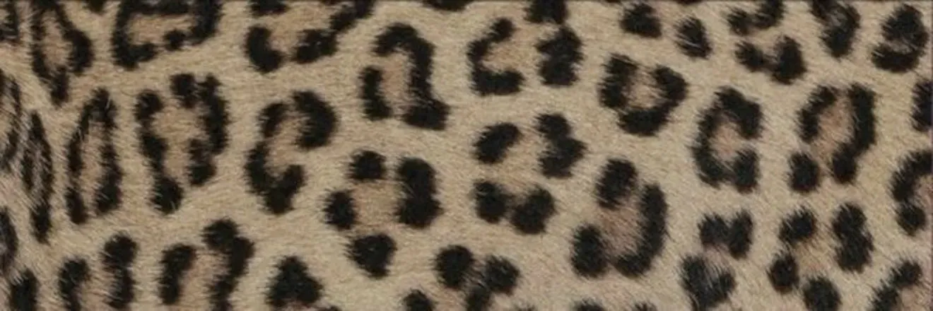 OnlyFans cuenta bwhalton header 2