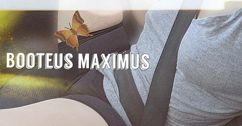 OnlyFans cuenta booteus_maximus_free header 2