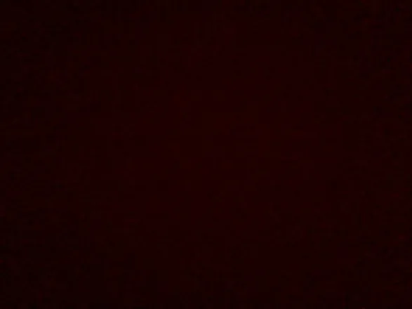 OnlyFans cuenta paradisegeo header 2