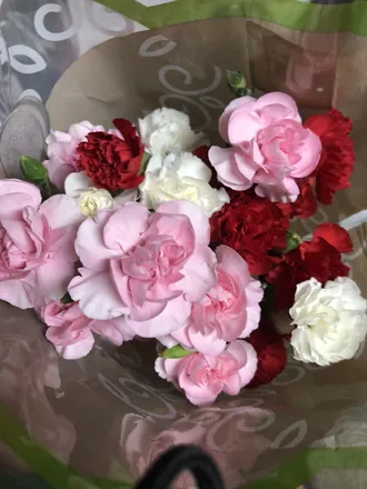 OnlyFans cuenta eva_lynne header 2