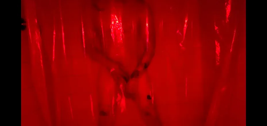 OnlyFans cuenta unriveraenlametro header 2