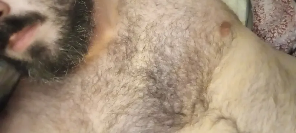 OnlyFans cuenta bear-rythem avatar 1