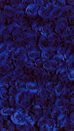 OnlyFans cuenta therealsalestemonique header 2