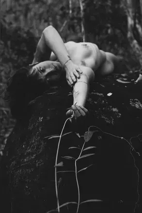 OnlyFans cuenta jardinbizarr avatar 1