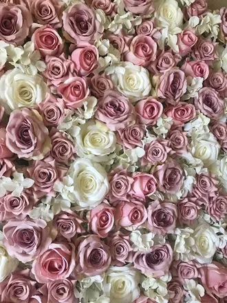 OnlyFans account  onlycoleex header 2