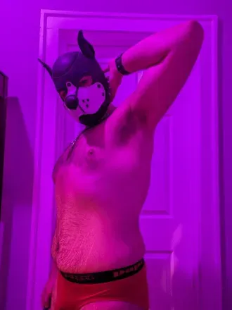 OnlyFans cuenta altysaurusrex avatar 1
