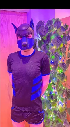 OnlyFans cuenta pupshadow1 avatar 1