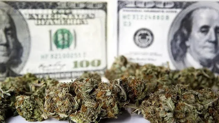 OnlyFans cuenta ofcbarbiepothead header 2