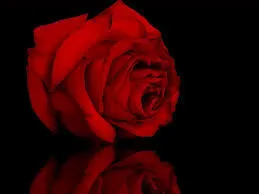 OnlyFans cuenta alaia_4u header 2