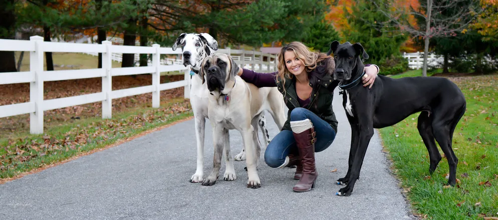 OnlyFans account  candyiegurl header 2