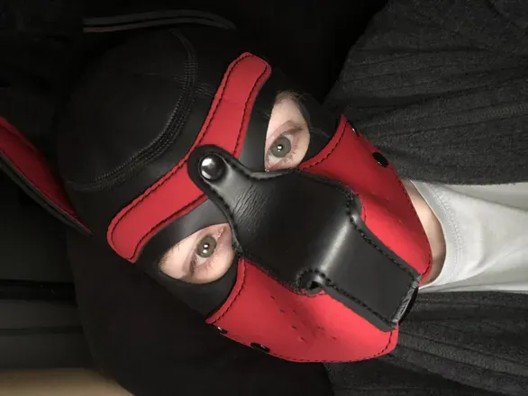 OnlyFans account  leatherpuplurz avatar 1
