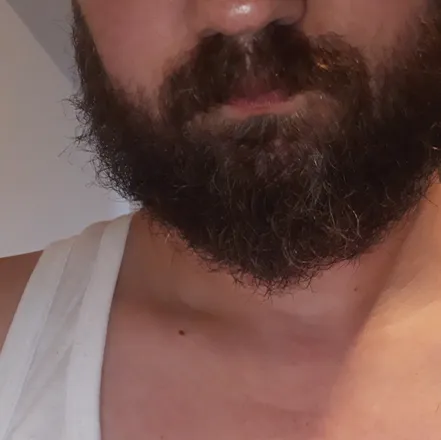 OnlyFans cuenta pol_bear_xxx avatar 1