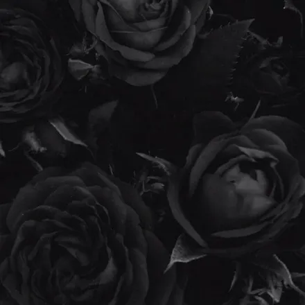 OnlyFans cuenta pinkkittennn header 2