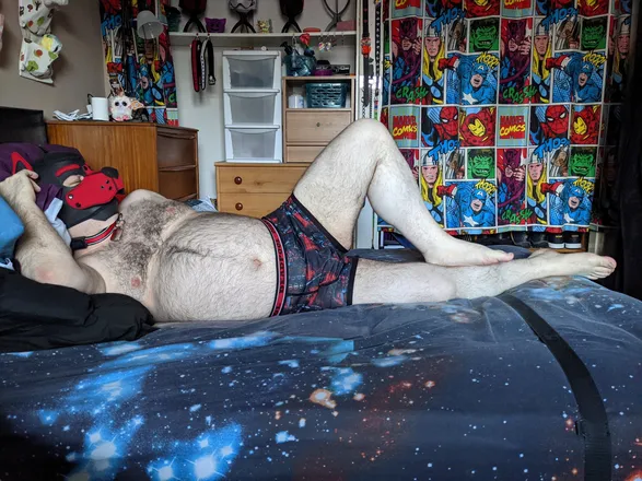 OnlyFans cuenta quintpup header 2