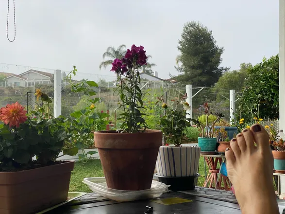 OnlyFans cuenta missmatriarch header 2