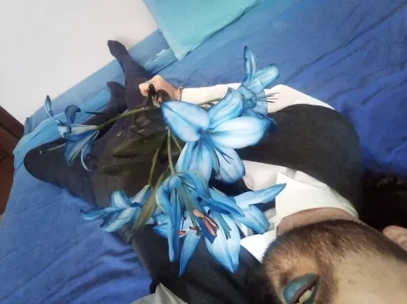OnlyFans account  direneed header 2