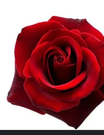 OnlyFans cuenta lolabee29 header 2
