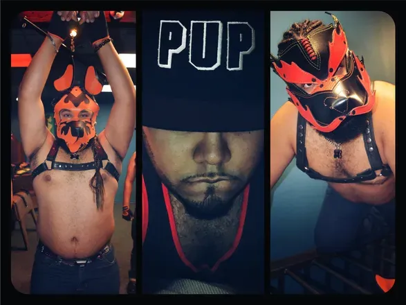 OnlyFans cuenta pup_panda header 2
