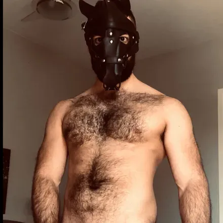 OnlyFans account  the_hhorse avatar 1