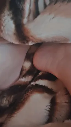 OnlyFans cuenta feetyunicorn header 2