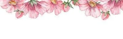 OnlyFans cuenta lilpichu header 2
