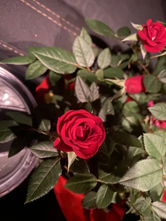 OnlyFans cuenta misscolombianaa header 2