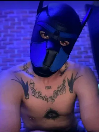 OnlyFans cuenta selfratos85 avatar 1