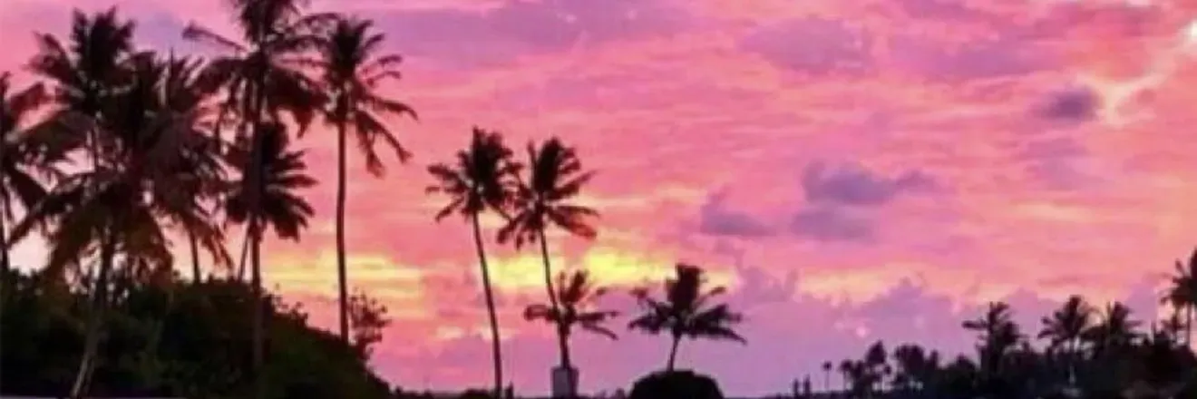 OnlyFans cuenta geordiebird header 2