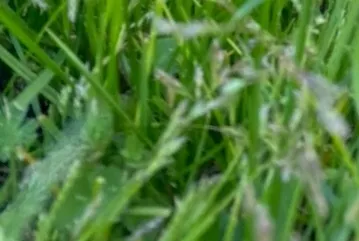 OnlyFans cuenta noemiart header 2