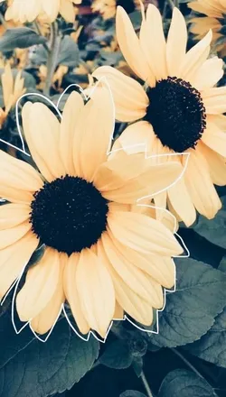 OnlyFans cuenta kayy_mariee_27 header 2