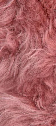 OnlyFans cuenta estefanialopezz header 1