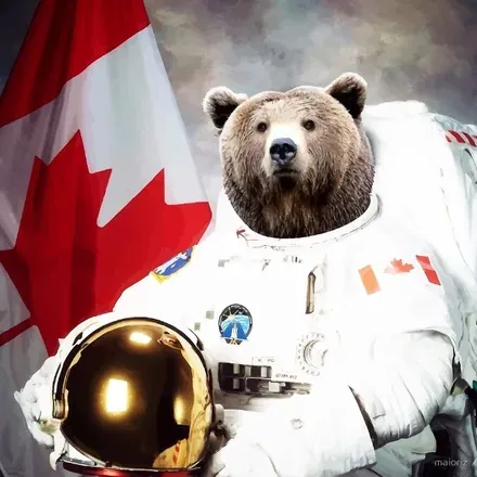 OnlyFans cuenta bearsinspace avatar 1