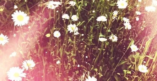 OnlyFans cuenta pinkbunnyd header 2