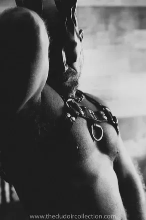 OnlyFans cuenta thedudoircollection avatar 1