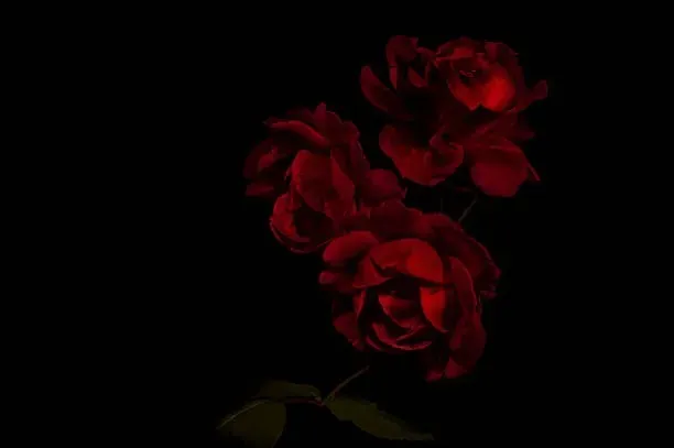 OnlyFans cuenta cheekychloey header 1