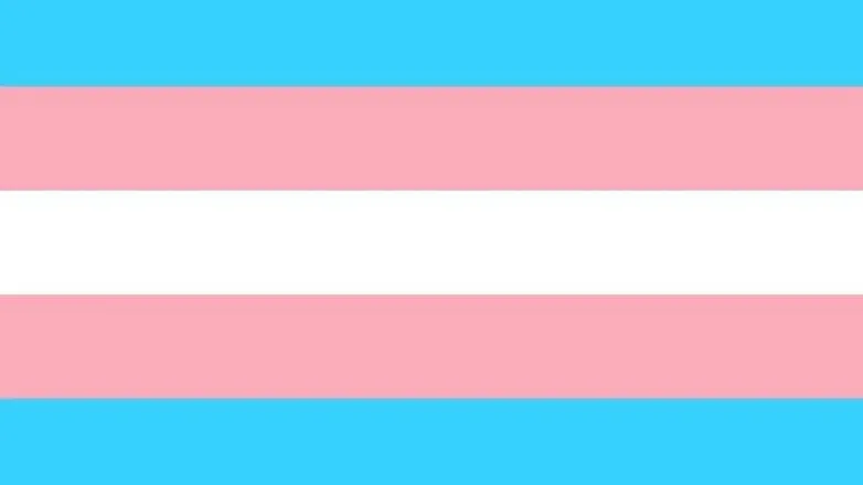 OnlyFans account  catadortrans header 1