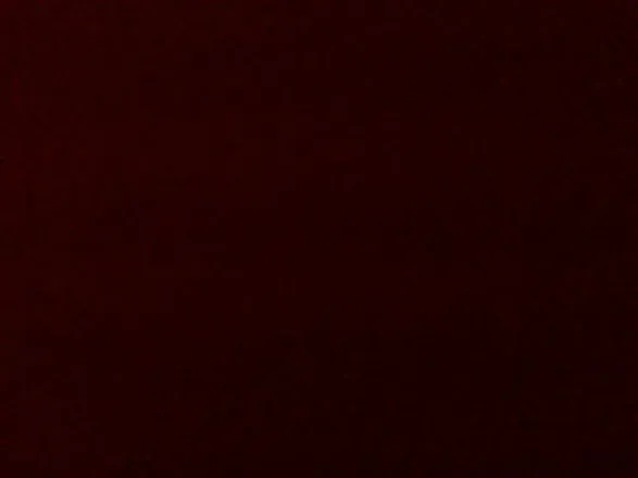OnlyFans cuenta luxxeedadon avatar 1