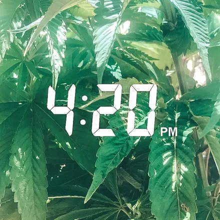 OnlyFans account  xo420honey header 2
