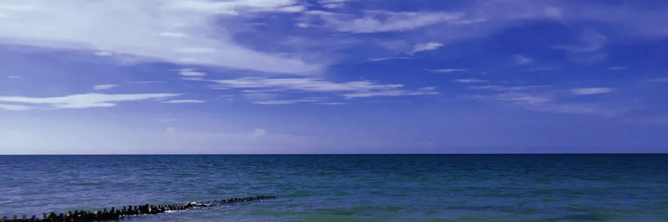 OnlyFans cuenta anicardos header 2