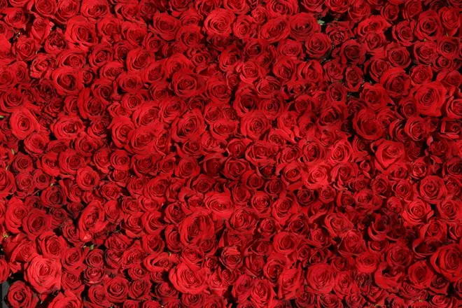 OnlyFans cuenta saveegame header 2