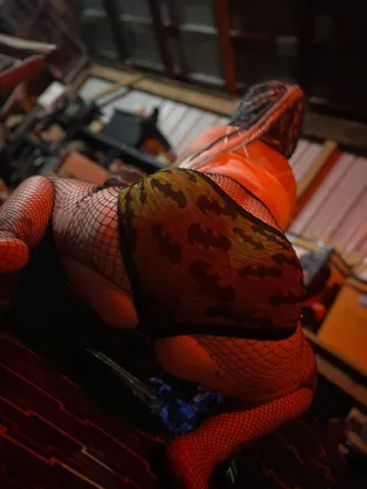 OnlyFans account  windd69 header 2