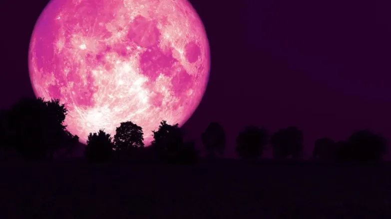 OnlyFans cuenta thepinkmoon header 2