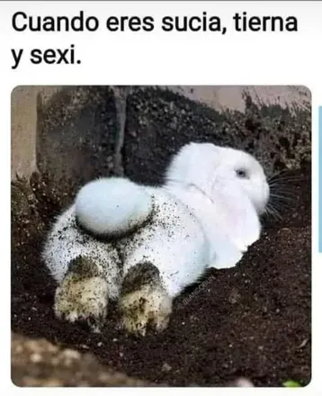 OnlyFans cuenta konejomalow avatar 1