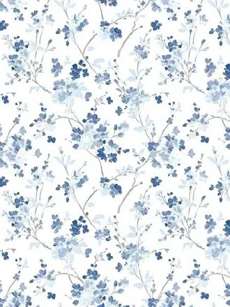 OnlyFans cuenta wonderandwhimsy header 1