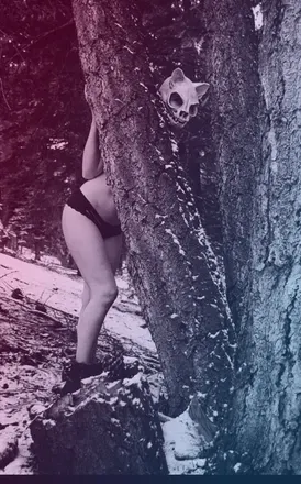 OnlyFans account  ded_kitty avatar 1