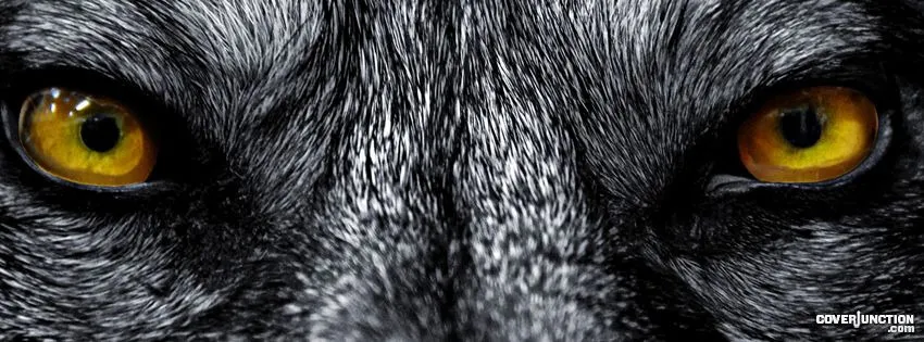 OnlyFans cuenta wolfinnoclothing header 2