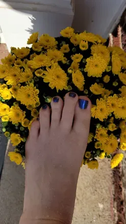 OnlyFans cuenta bossladybearfeet avatar 1