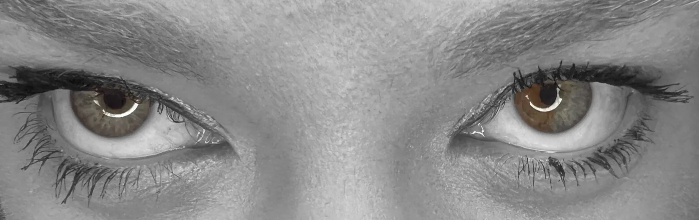 OnlyFans account  foxyroxy787 header 2